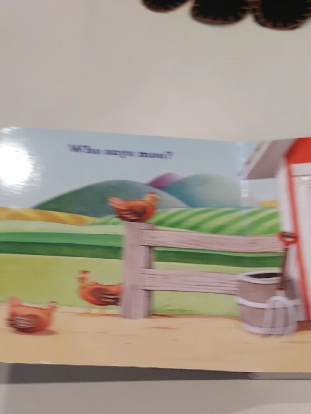 Open the Barn Door Interactive Baby Board Book